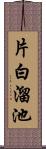 片白溜池 Scroll