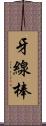 牙線棒 Scroll