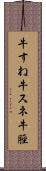 牛すね Scroll