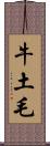 牛土毛 Scroll