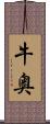 牛奥 Scroll