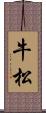 牛松 Scroll