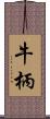 牛柄 Scroll