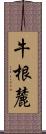 牛根麓 Scroll