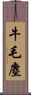 牛毛塵 Scroll