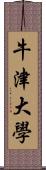 牛津大學 Scroll