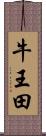 牛王田 Scroll