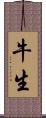 牛生 Scroll