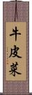 牛皮菜 Scroll