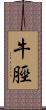 牛脛 Scroll