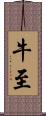 牛至 Scroll