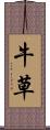 牛草 Scroll
