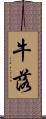 牛落 Scroll