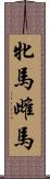牝馬 Scroll