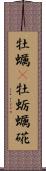 牡蠣(P) Scroll