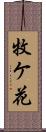 牧ケ花 Scroll