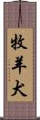 牧羊犬 Scroll