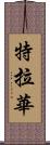 特拉華 Scroll