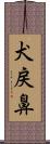 犬戻鼻 Scroll