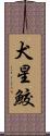 犬星鮫 Scroll