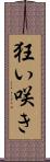 狂い咲き Scroll