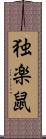 独楽鼠 Scroll