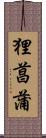 狸菖蒲 Scroll