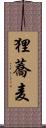 狸蕎麦 Scroll