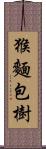 猴麵包樹 Scroll