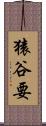 猿谷要 Scroll