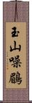 玉山噪鶥 Scroll