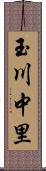 玉川中里 Scroll