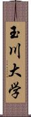 玉川大学 Scroll