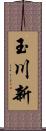 玉川新 Scroll