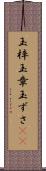 玉梓 Scroll