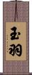 玉羽 Scroll