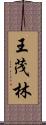 王茂林 Scroll