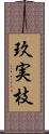 玖実枝 Scroll