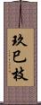 玖巳枝 Scroll
