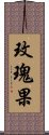 玫瑰果 Scroll