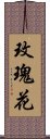 玫瑰花 Scroll