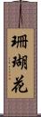 珊瑚花 Scroll