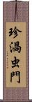 珍渦虫門 Scroll