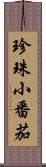 珍珠小番茄 Scroll