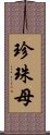 珍珠母 Scroll