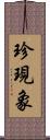 珍現象 Scroll