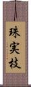 珠実枝 Scroll