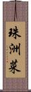 珠洲菜 Scroll
