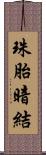 珠胎暗結 Scroll