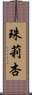 珠莉杏 Scroll